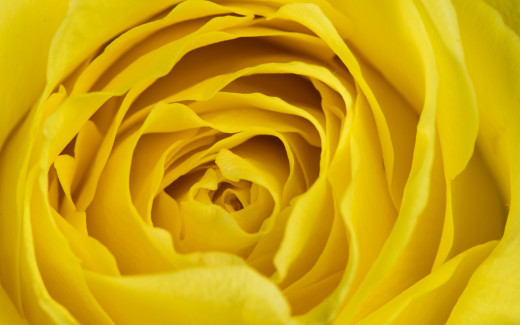 1076167 (a): :2880x1800